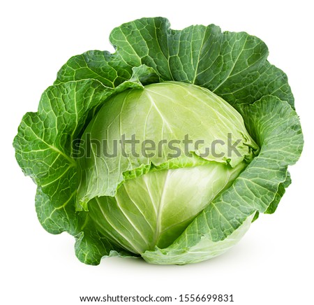 cabbage isolated on white background, clipping path, full depth of field Royalty-Free Stock Photo #1556699831
