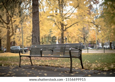 Scene of yellow autumn park in Portland, Oregon