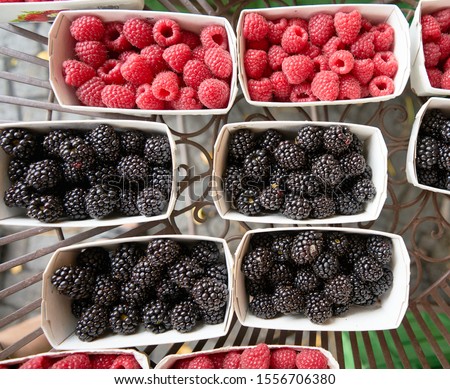 Six pint sized containers of red raspberries and blackberries siting on iron grate table at a farmers market in Germany.                             