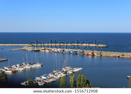 Picture of docked boats at a marina featuring yachts