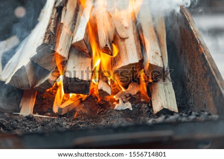 Burning logs for kindling a fire, flame and smoke on fire. Logs in a barbecue for frying meat.
