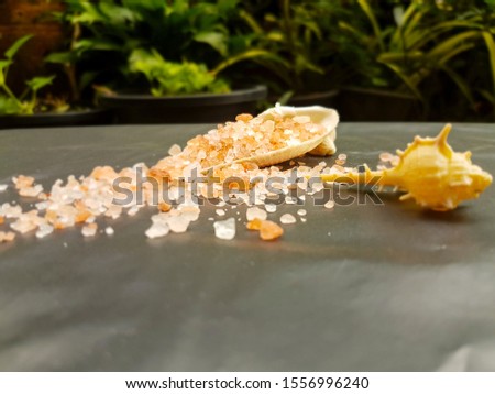 Himalayan salt spread from the shells on the black ground. Royalty-Free Stock Photo #1556996240