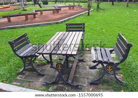 Beautiful green trees and bench in park nature background.