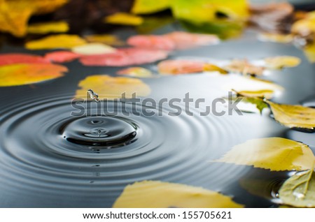 Rain splashing into a pond in the fall