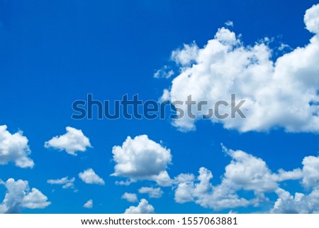 Abstract nature background of Beautiful sunny blue sky with white puffy & fluffy cumulus cloud & cloudscape in tropical summer or spring bright sunlight on horizon skyline at sunshine day, copy space  Royalty-Free Stock Photo #1557063881