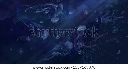 jellyfish in the water depth of the seabed in the sunshine marine animals underwater world