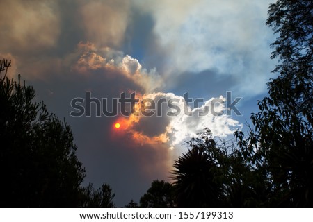 Australian bushfire: trees silhouettes and smoke from bushfires covers the sky and glowing sun barely seen through the smoke. Catastrophic fire danger, NSW, Australia Royalty-Free Stock Photo #1557199313