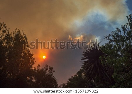 Australian bushfire: trees silhouettes and smoke from bushfires covers the sky and glowing sun barely seen through the smoke. Catastrophic fire danger, NSW, Australia Royalty-Free Stock Photo #1557199322