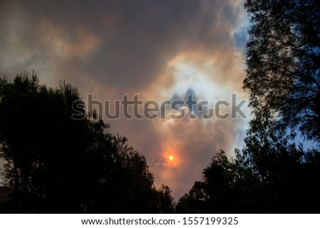 Australian bushfire: trees silhouettes and smoke from bushfires covers the sky and glowing sun barely seen through the smoke. Catastrophic fire danger, NSW, Australia Royalty-Free Stock Photo #1557199325