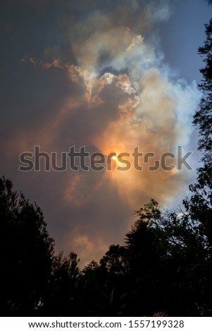 Australian bushfire: trees silhouettes and smoke from bushfires covers the sky and glowing sun barely seen through the smoke. Catastrophic fire danger, NSW, Australia Royalty-Free Stock Photo #1557199328