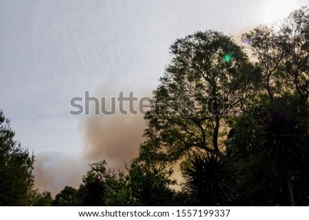 Australian bushfire: trees silhouettes and smoke from bushfires covers the sky and glowing sun barely seen through the smoke. Catastrophic fire danger, NSW, Australia Royalty-Free Stock Photo #1557199337