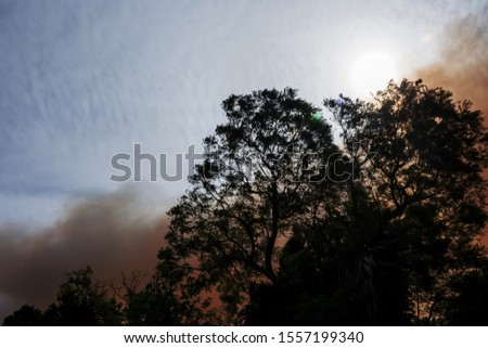 Australian bushfire: trees silhouettes and smoke from bushfires covers the sky and glowing sun barely seen through the smoke. Catastrophic fire danger, NSW, Australia Royalty-Free Stock Photo #1557199340