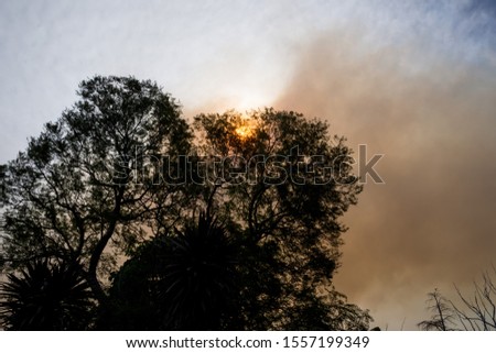 Australian bushfire: trees silhouettes and smoke from bushfires covers the sky and glowing sun barely seen through the smoke. Catastrophic fire danger, NSW, Australia Royalty-Free Stock Photo #1557199349