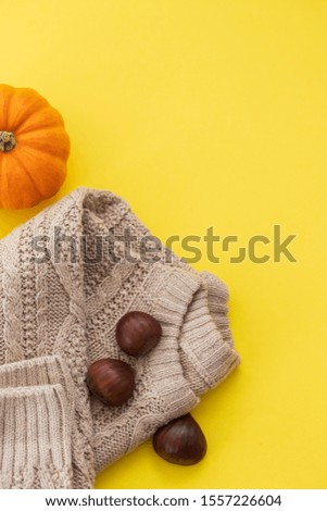 winter clothes with chestnut and pumpkin on yellow background