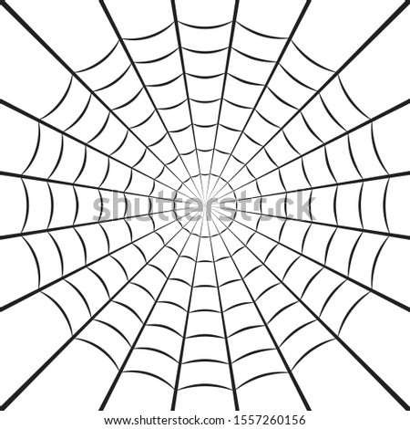 Spider web or cobweb. Halloween net background. 