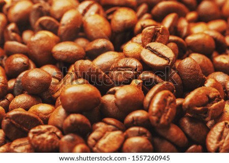 Roasted coffee beans, can be used as background. Soft contrast.