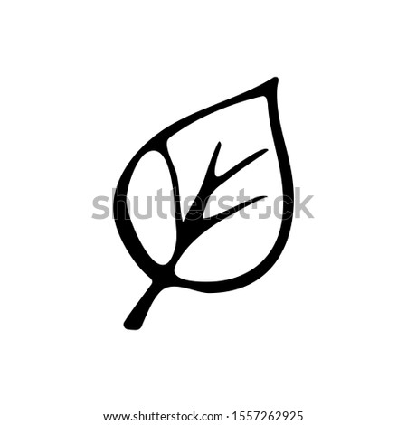 Leaflet. Drawn by hand. Isolated circuit. Vector. Decor element