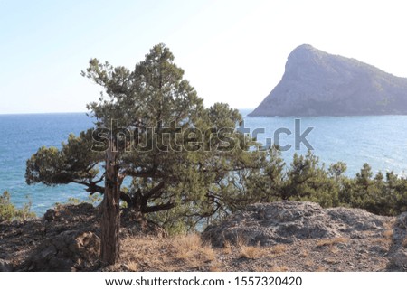Superb bright sunny southern seascape overlooking the turquoise Black Sea and beautiful cliffs on the coast. The resort city "Sudak", Crimea, Russia.
