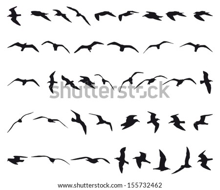 Forty seagulls flying black silhouettes Royalty-Free Stock Photo #155732462