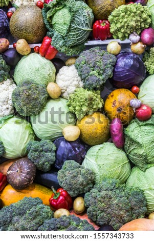 autumn harvest of different vegetables and root crops. background of vegetables.