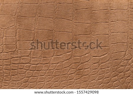 Brown hide background or texture