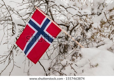 Norway flag on snow and branches background