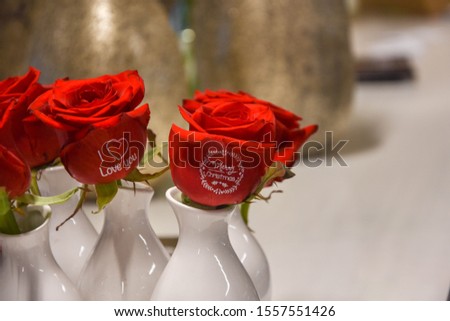 Bright Christmas Red Rose with a writing