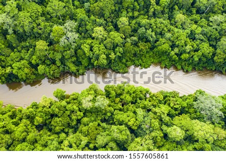 View from above, stunning aerial view of a tropical rainforest with the Sungai Tembeling River flowing through. Taman Negara National Park, located in Malaysia is the world's oldest rainforest. Royalty-Free Stock Photo #1557605861