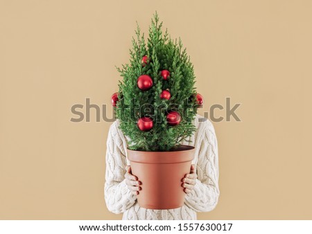 Christmas tree in a pot decorated with red baubles, holded by young man wearing classic style winter sweater, front view. Eco friendly Christmas gift concept.