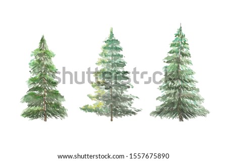 Three sunny green Christmas fir trees watercolour set hand drawn botanical illustration copy space isolated on white background