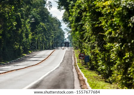 Highway photographed in Linhares and Sooretama, Espirito Santo. Southeast of Brazil. Atlantic Forest Biome. Picture made in 2014.
