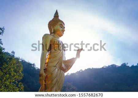 Golden Buddha statue in a Buddhist temple in the jungle at sunset in the sun, travel to Southeast Asia, Thailand, Koh Phangan