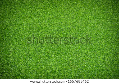 Artificial green grass texture background. Royalty-Free Stock Photo #1557683462