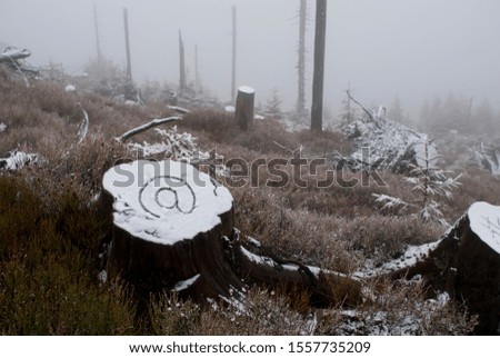 Fog in the winter woods. Snow icons.