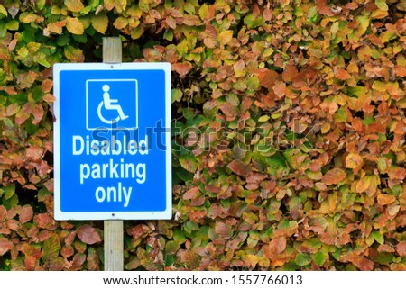 Disabled parking sign against a copper beach badge background