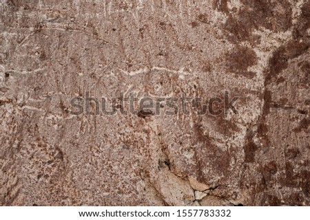 Detail of paintings in rocks at, San Pedro de Atacama Chile. Paleolithic pictures.