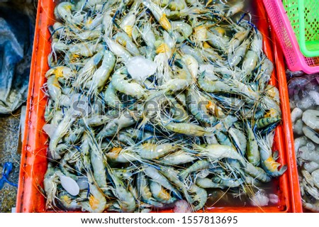 seafood in market, beautiful photo digital picture, beautiful photo digital picture