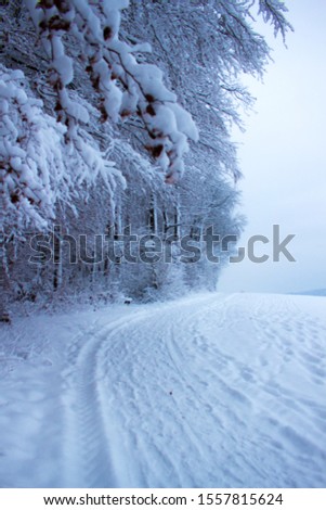 Picture of the winter wonderland on a cloudy day after heavy snowfall near Zurich in Switzerland