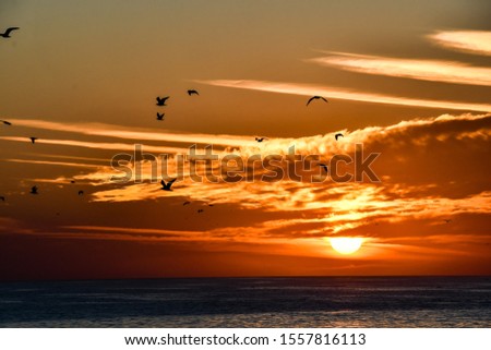 airplane flying in the sky, beautiful photo digital picture
