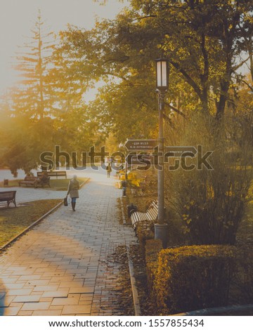 Autumn fine-art photo of wooden bench near the street lamp and a path in the park in warm tone