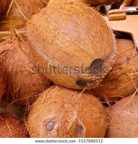 Macro Photo food fruit coconut. Texture tropical fruit coconut nut. Image fruit coconuts