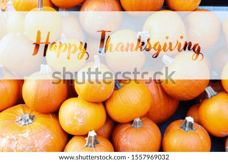 orange raw pumpkins pile on old wooden textured table, top view with happy thanksgiving greetings