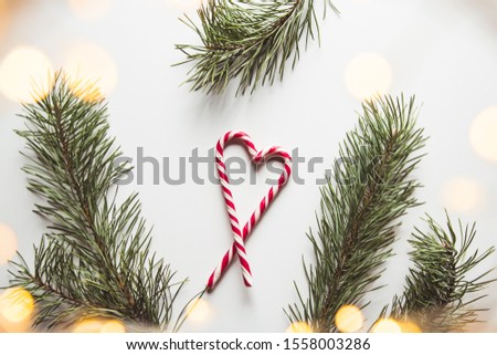 Heart shape made of tasty candy canes and fir tree twig on color background, top view Space for text
