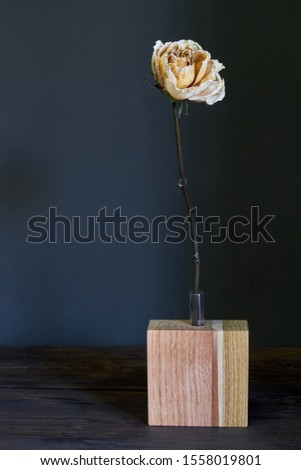 Beautiful beige dry rose in a wooden vase on a dark background, selective focus