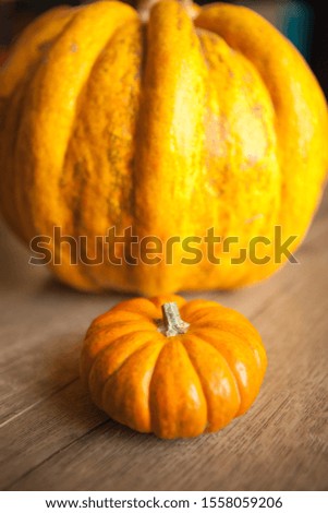 A big and a small pumpkins on a wooden table. Background picture for Halloween and Thanksgiving. Holiday-themed image.