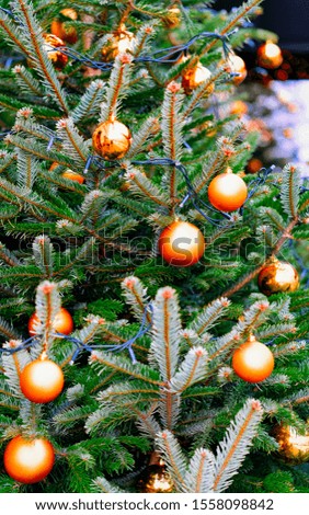Glass Christmas Tree with Decorations, Night Market on Gendarmenmarkt in Winter Berlin, Germany.