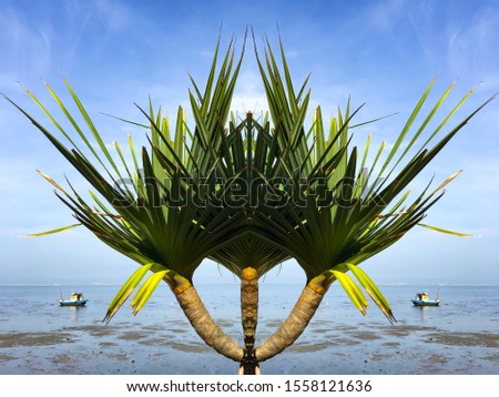 Tropical green palm tree in the beach, blue sky, Abstract natural background, Tree creativity pattern graphic design