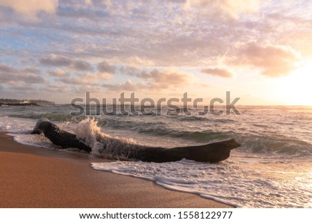 Big waves crashing on a piece of driftwood on a peaceful, empty beach with a beautiful, colorful sunrise in the background. Shot on a beach in Kauai, Hawaii USA. 