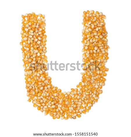 Letter U of the English alphabet from from yellow dry corn  on a white isolated background. Food pattern made from corn. bright alphabet for shops. cereal for corn porridge
