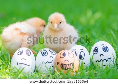 Two adorable chicks standing outdoors and Painted emotion sad face on eggs. Bad day feeling concept